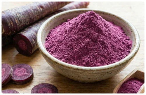 Purple carrot illustration