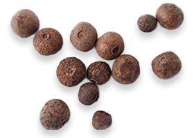 BioPerine black pepper extract