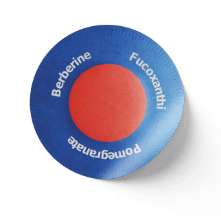 Purisaki Berberine Patch product visual