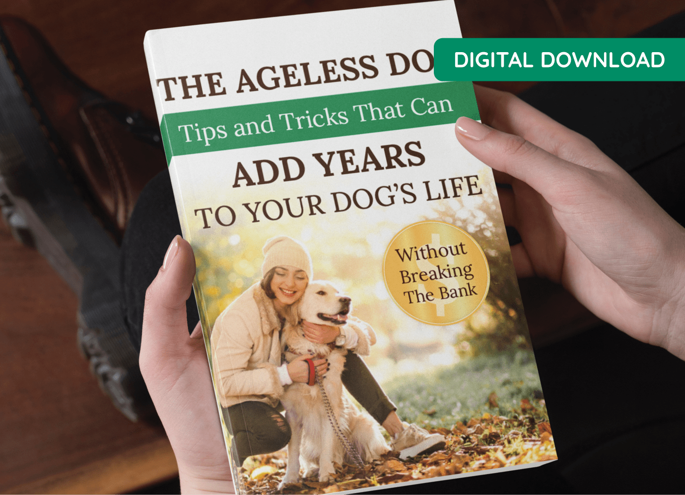 Bonus 1 - The Ageless Dog