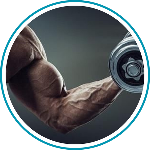 L-Citrulline