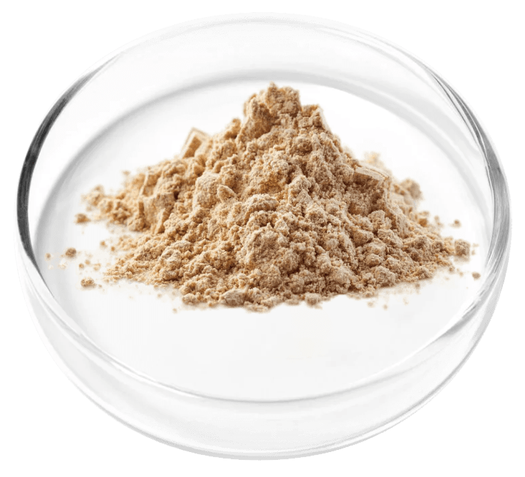 Berberine