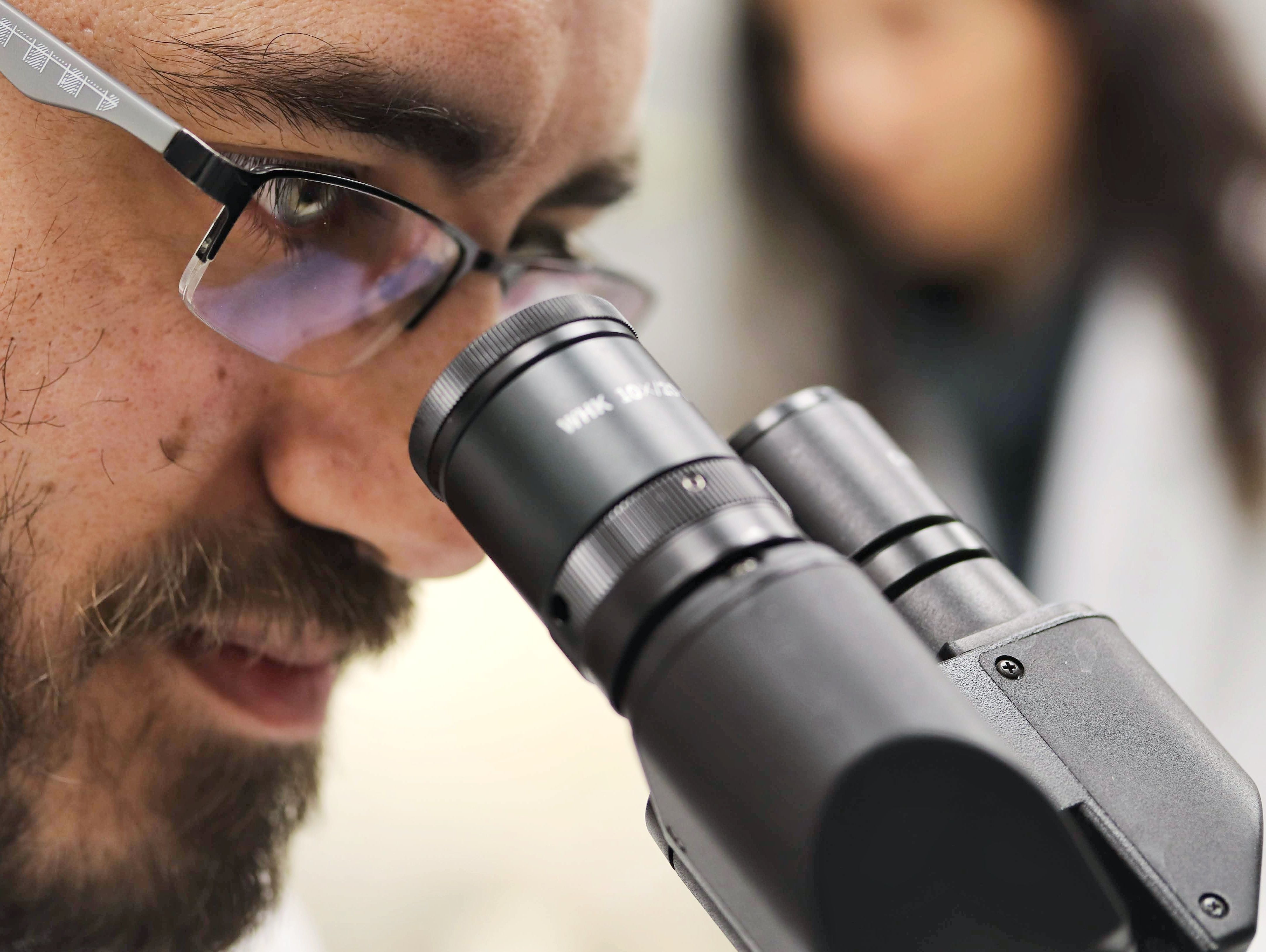 Botanical extract testing