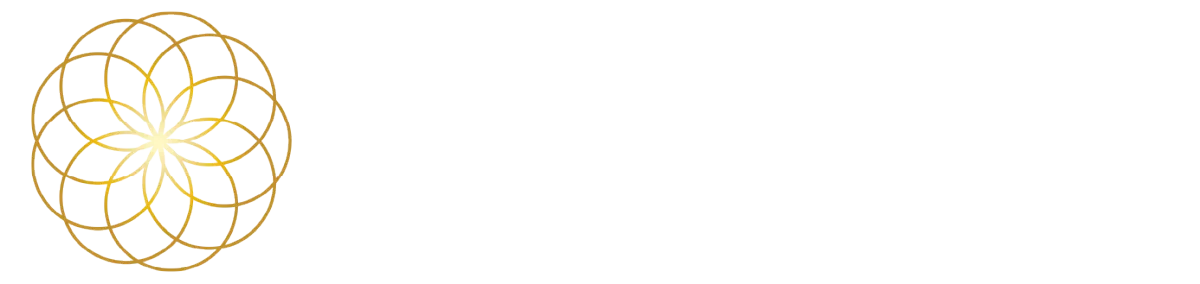 VigorSana Logo