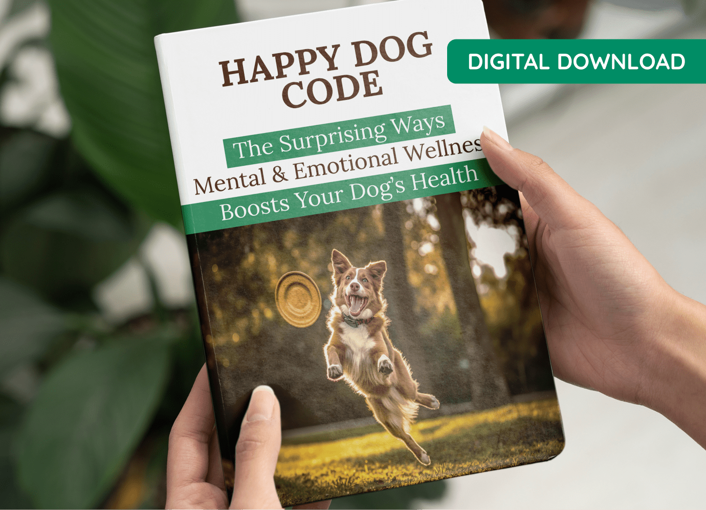 Bonus 3 - Happy Dog Code