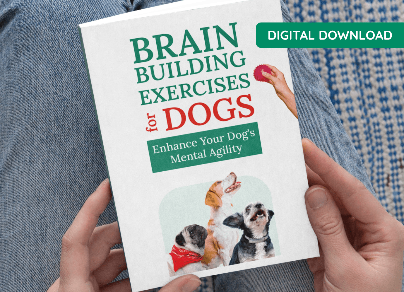Bonus 2 - Brain Building Exercises