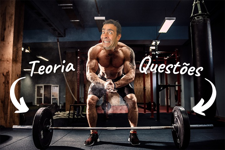 Álvaro Ferreira - Teoria e Questões