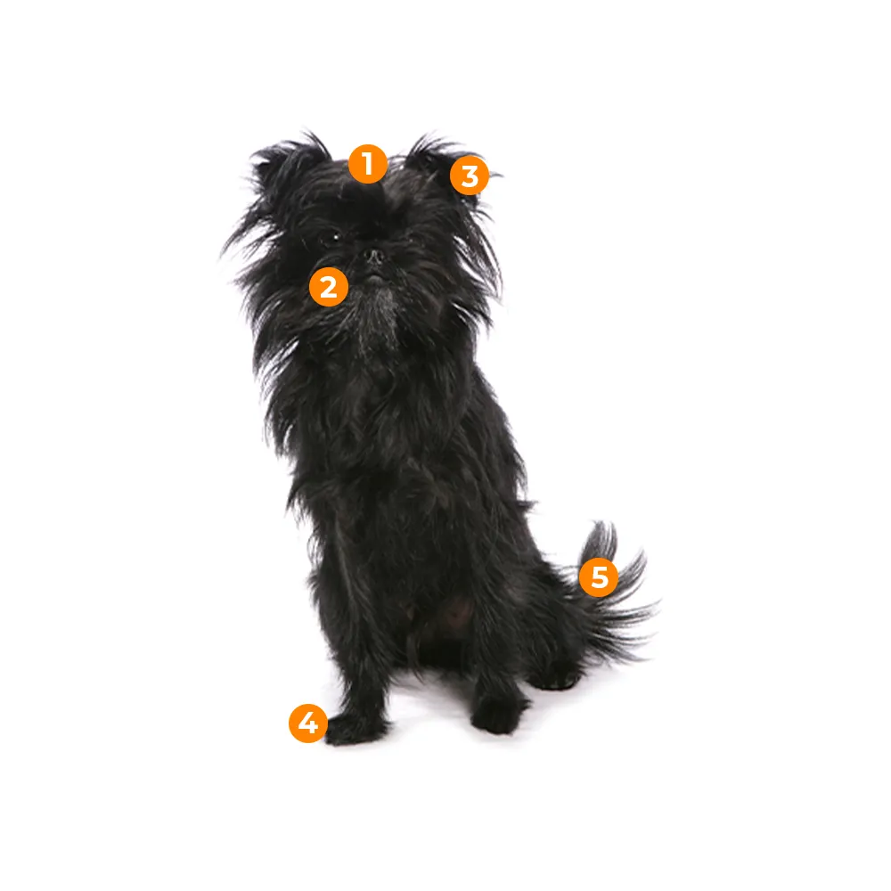 caracteristicas fisicas