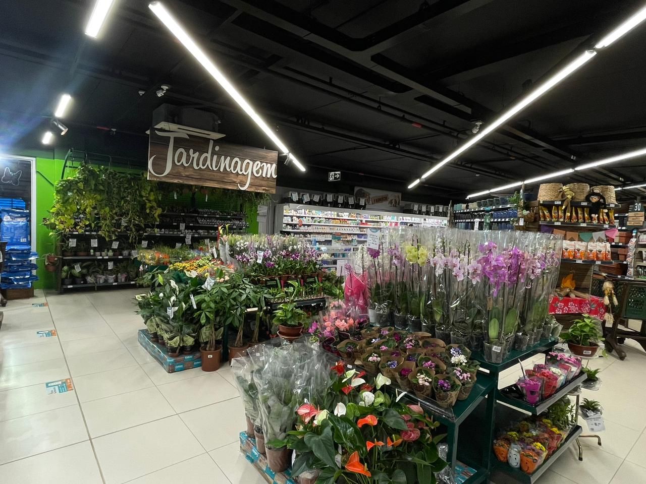 Belvedere_Jardinagem.jpg