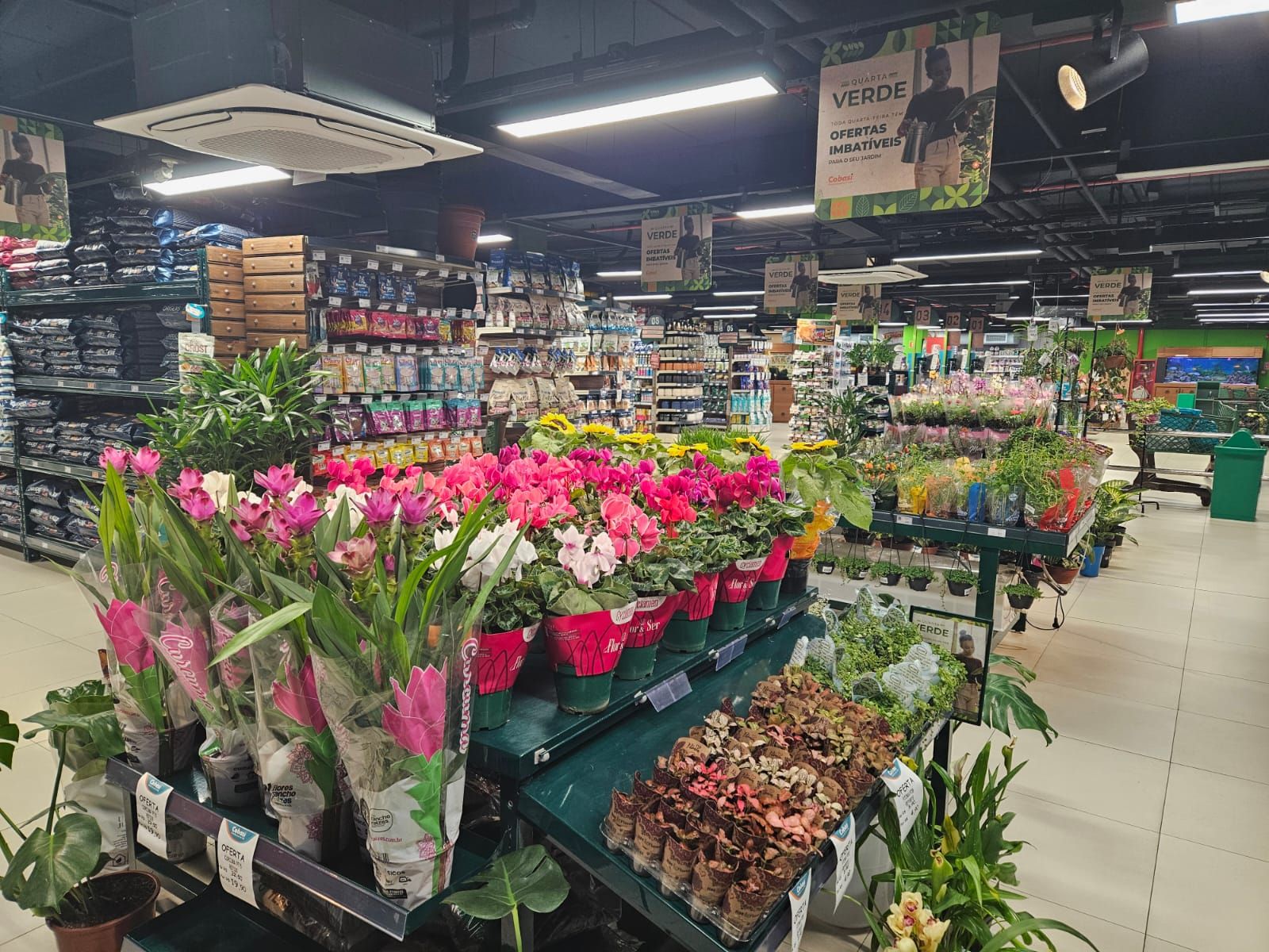 Blumenau_Neumarkt_jardim2.jpeg