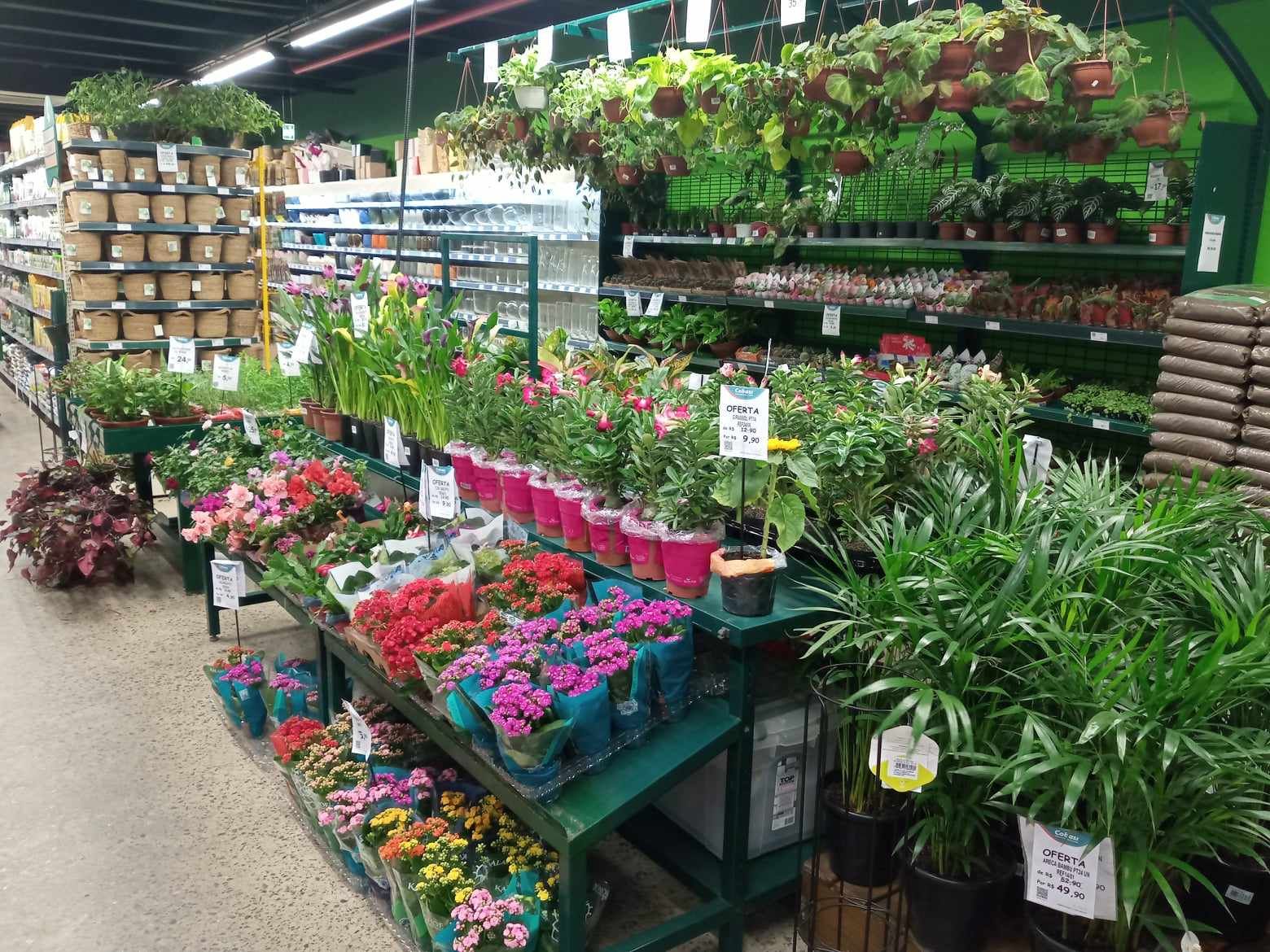 Cobasi_Campo_Limpo_Jardinagem.jpg