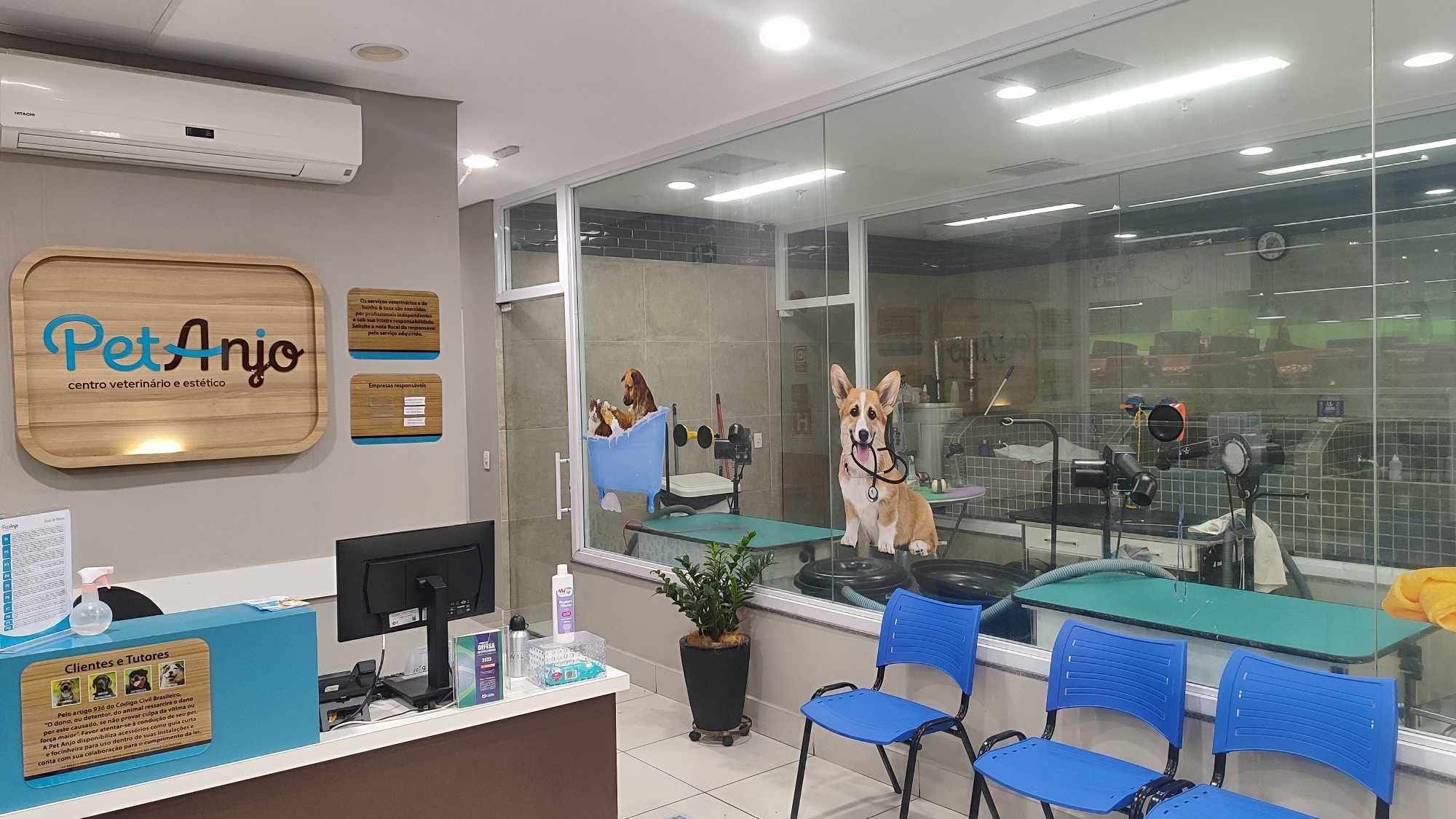 Cobasi_Recife_PetAnjo.jpg