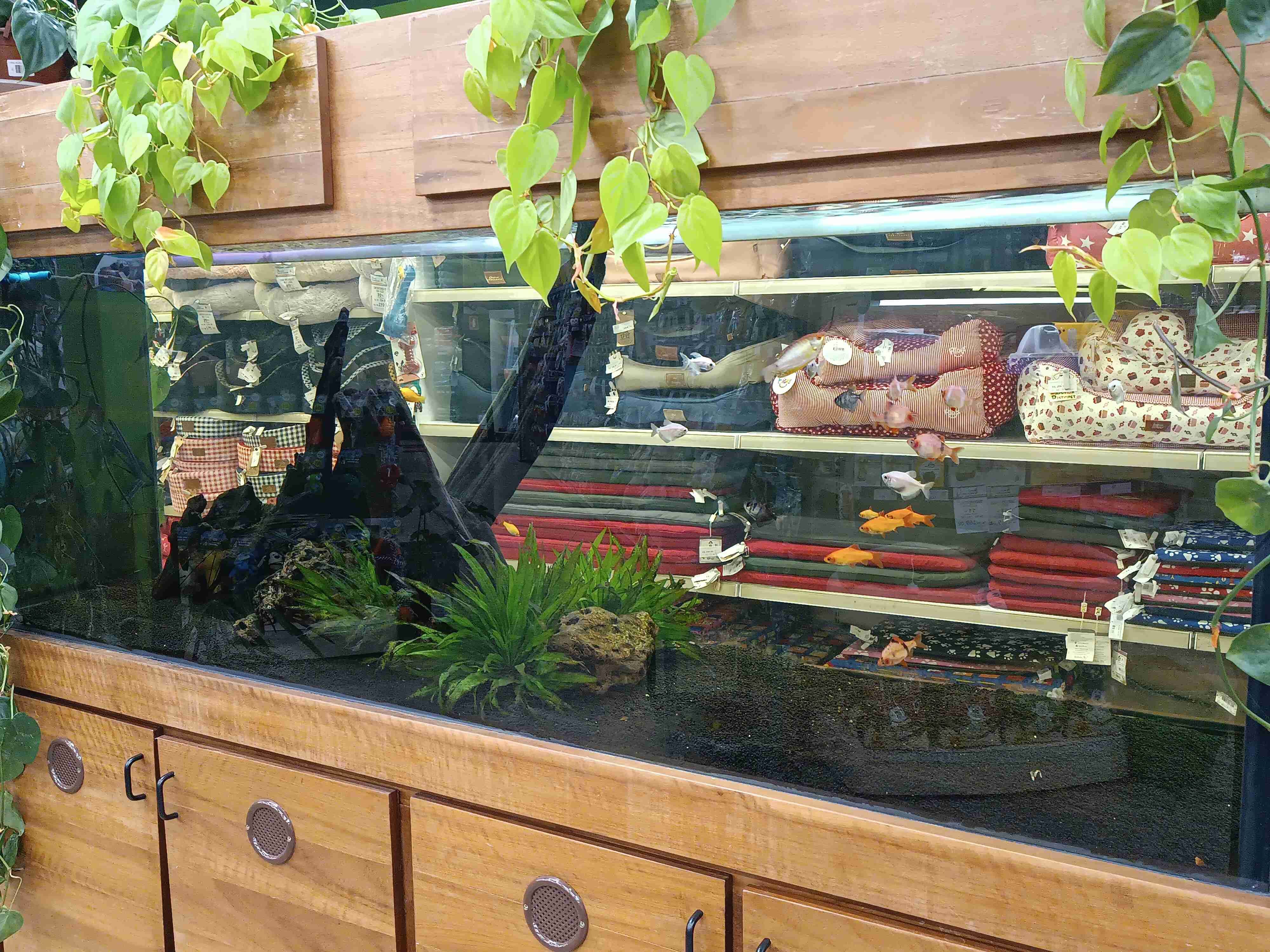 Falavina_showroom.jpg