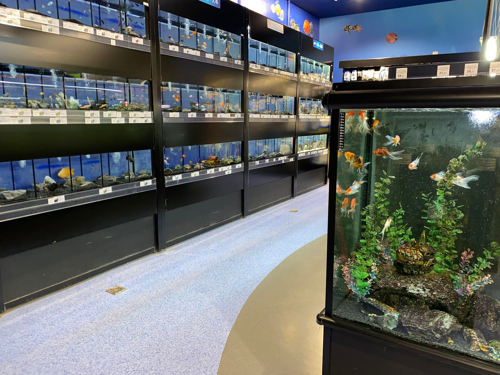 Florianópolis-Aquário.jpg