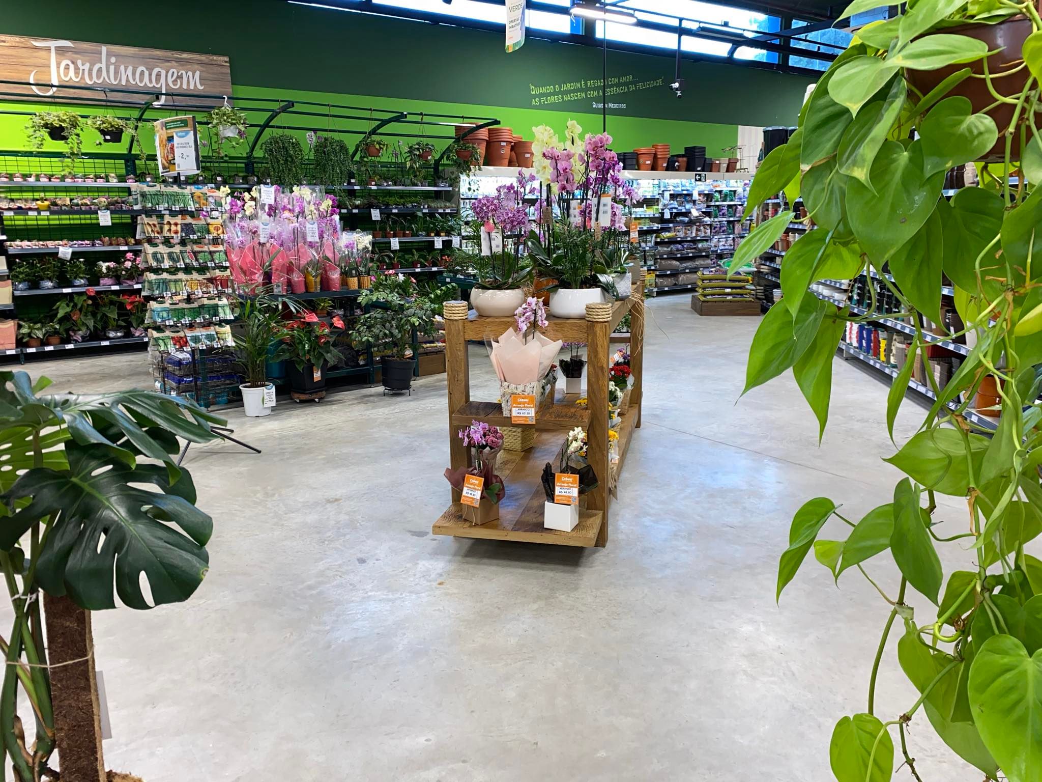 Florianópolis-jardinagem.jpg