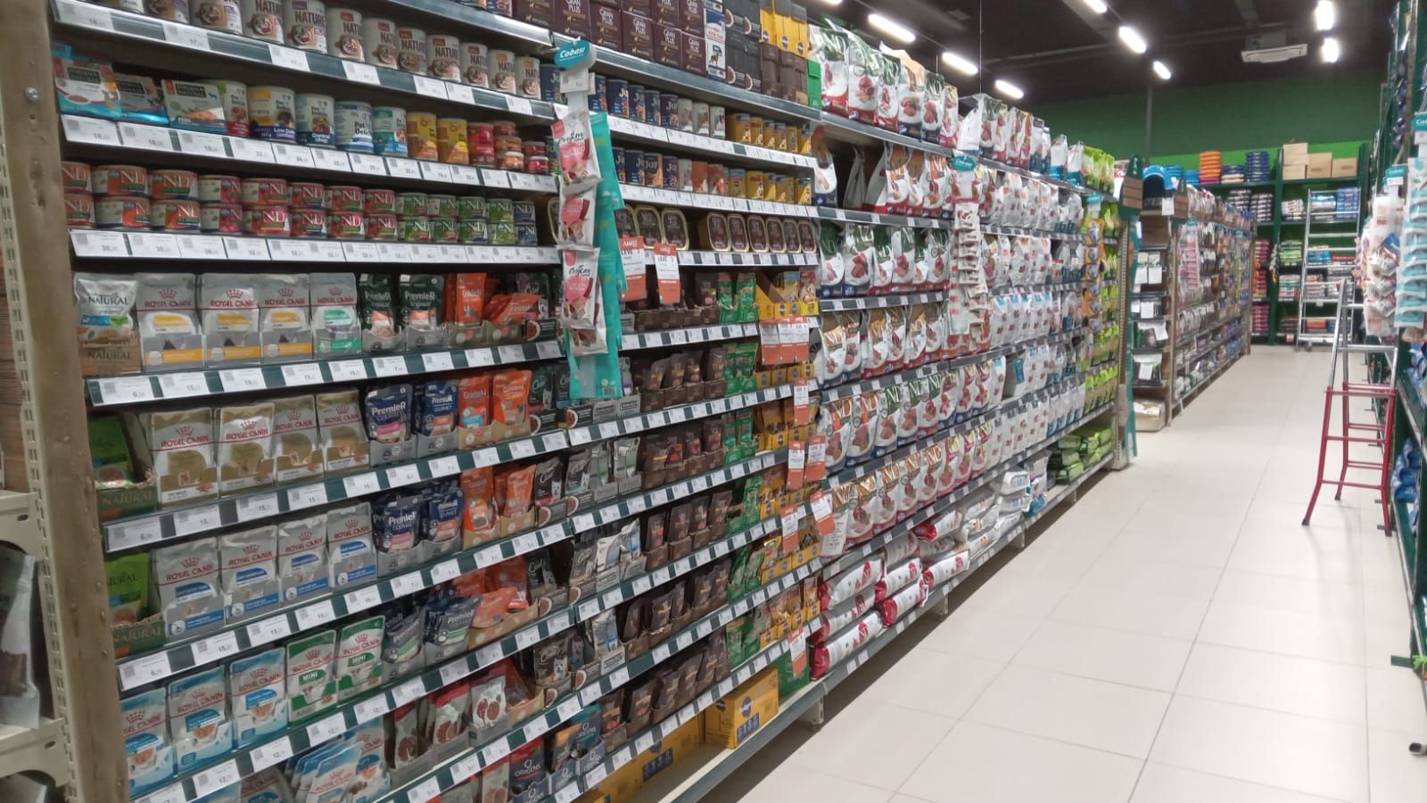 Guaruja-Sachê-Gatos.jpg