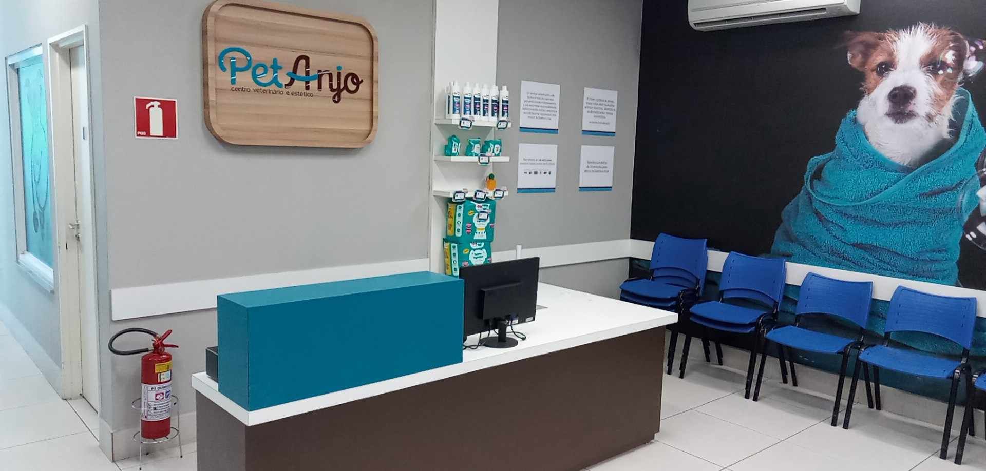Londrina-Centro-Pet-Anjo.jpg