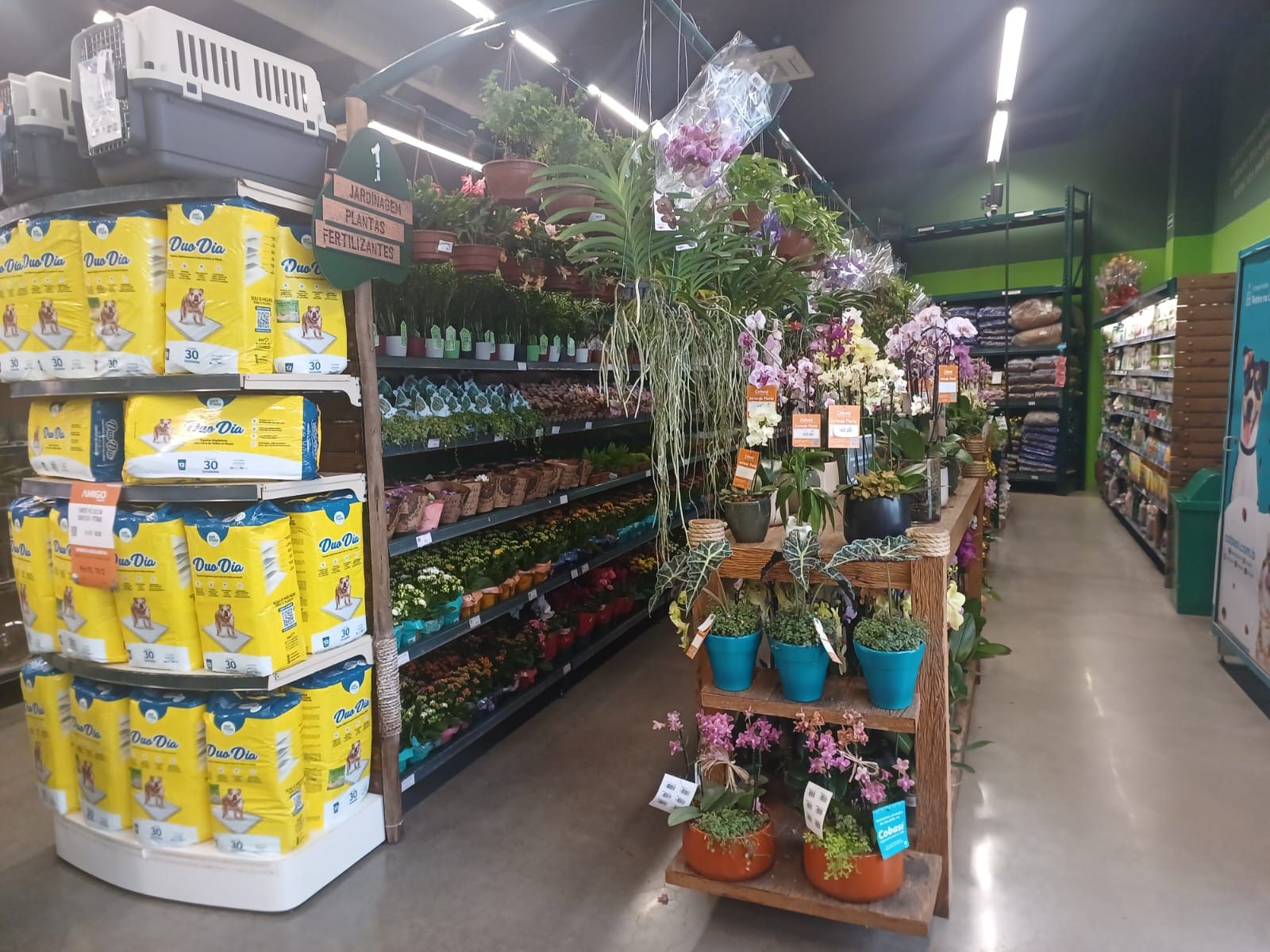 Sena-Madureira-Jardinagem.jpg