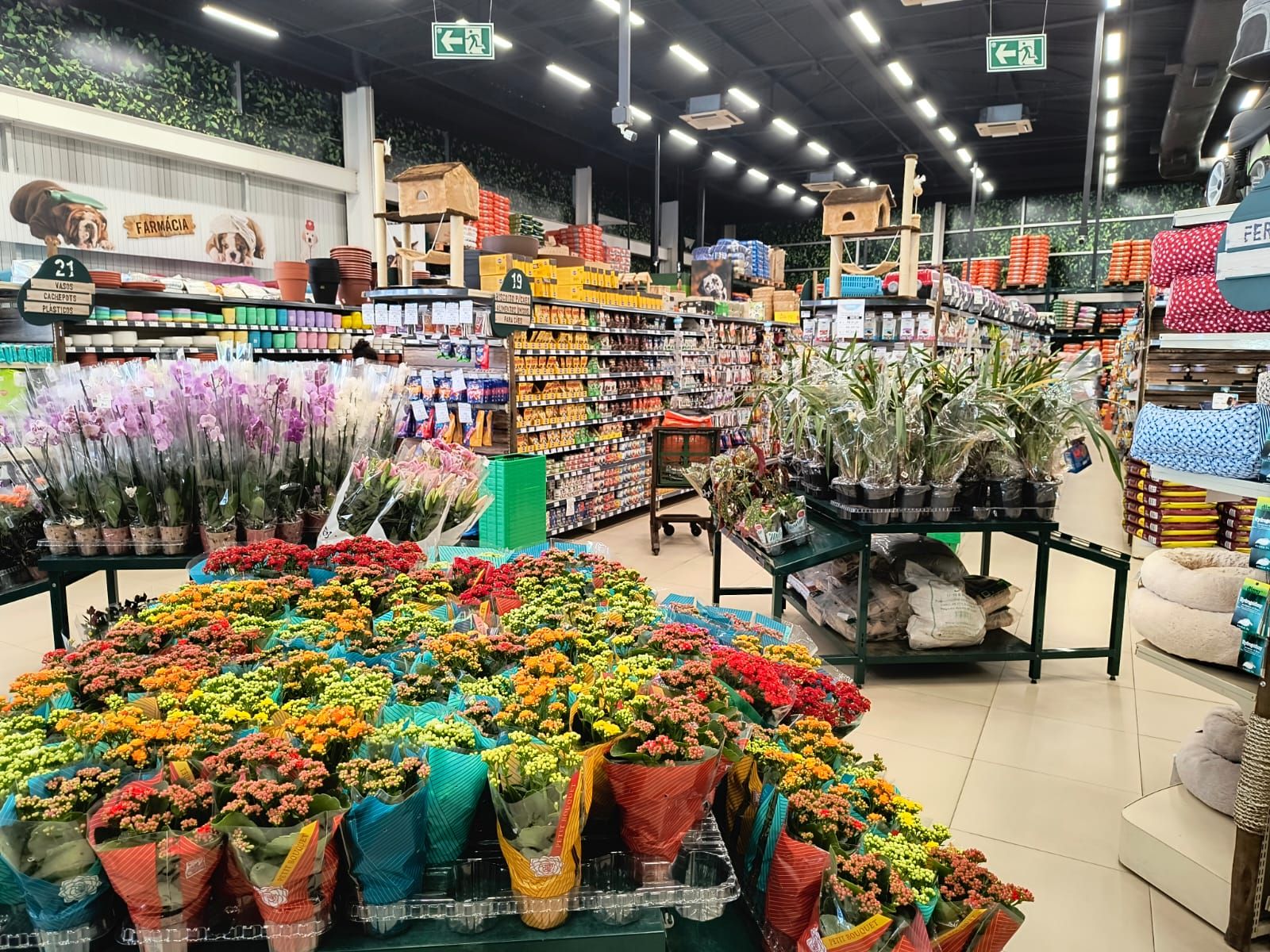 Uberlândia_jardim2.jpeg