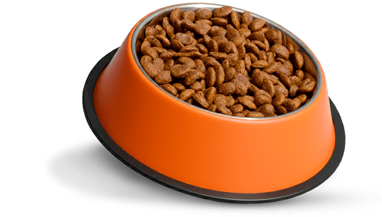 Imagem pote de ração