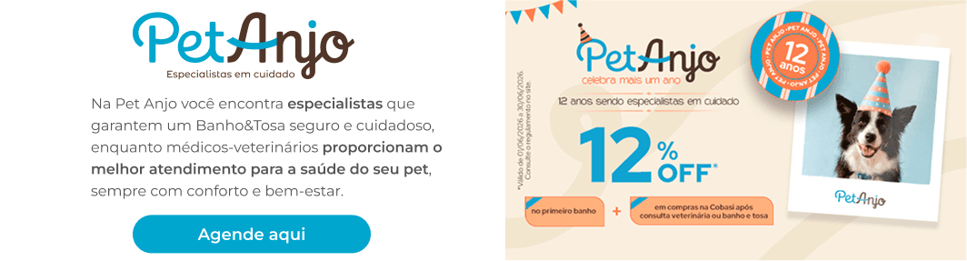 Pet Anjo: 12 anos