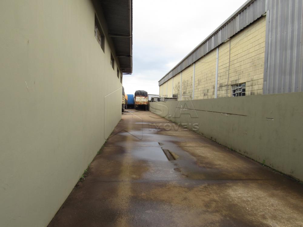 Alugar Comercial / Ponto Comercial em Botucatu R$ 22.000,00 - Foto 14