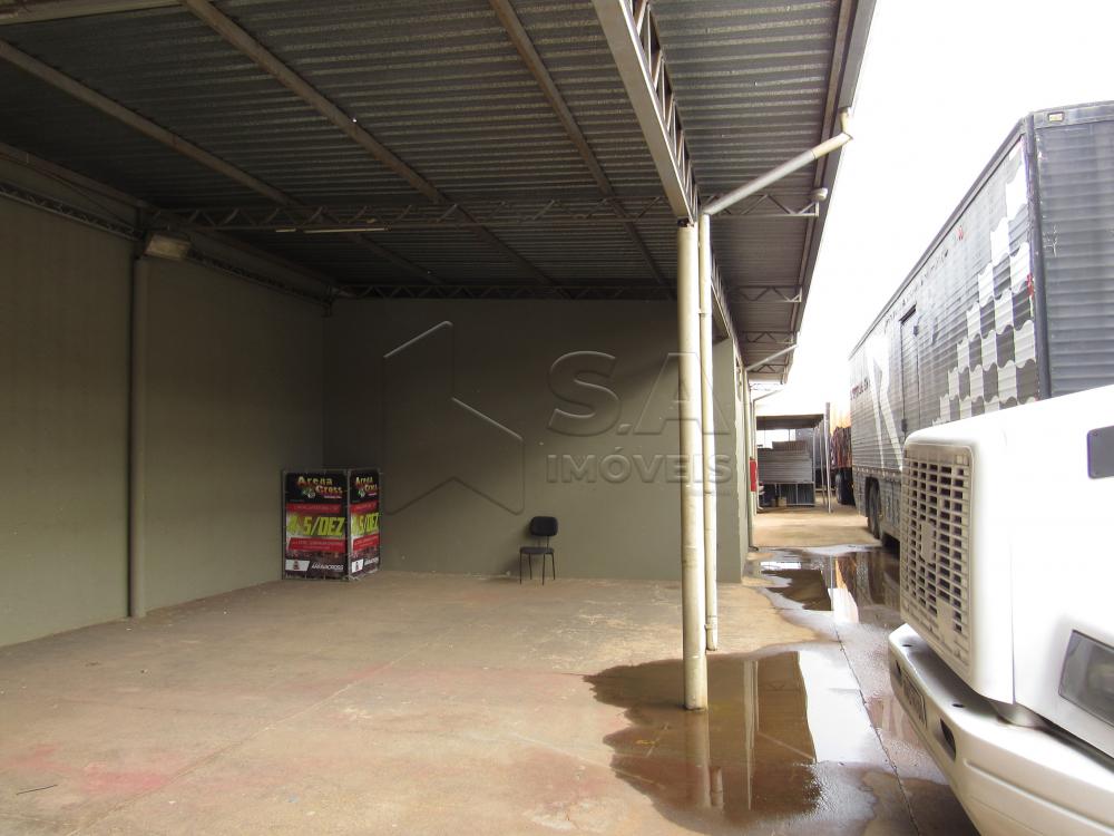 Alugar Comercial / Ponto Comercial em Botucatu R$ 22.000,00 - Foto 17