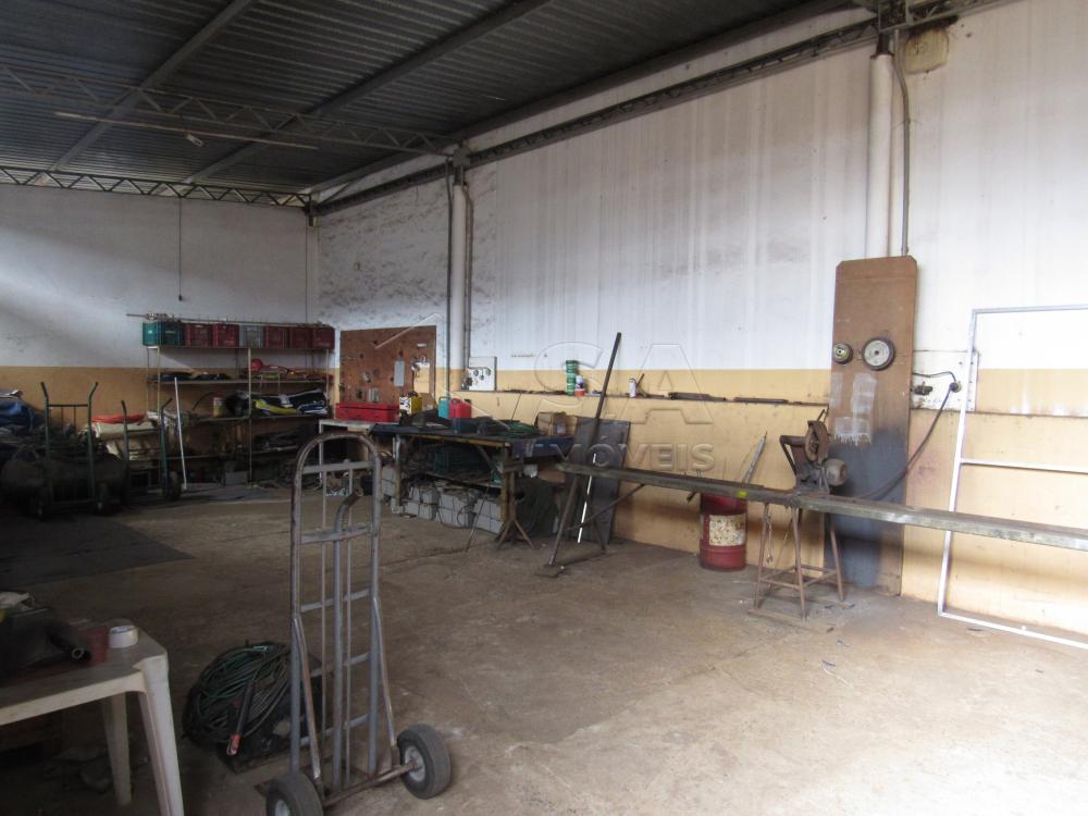 Alugar Comercial / Ponto Comercial em Botucatu R$ 22.000,00 - Foto 18