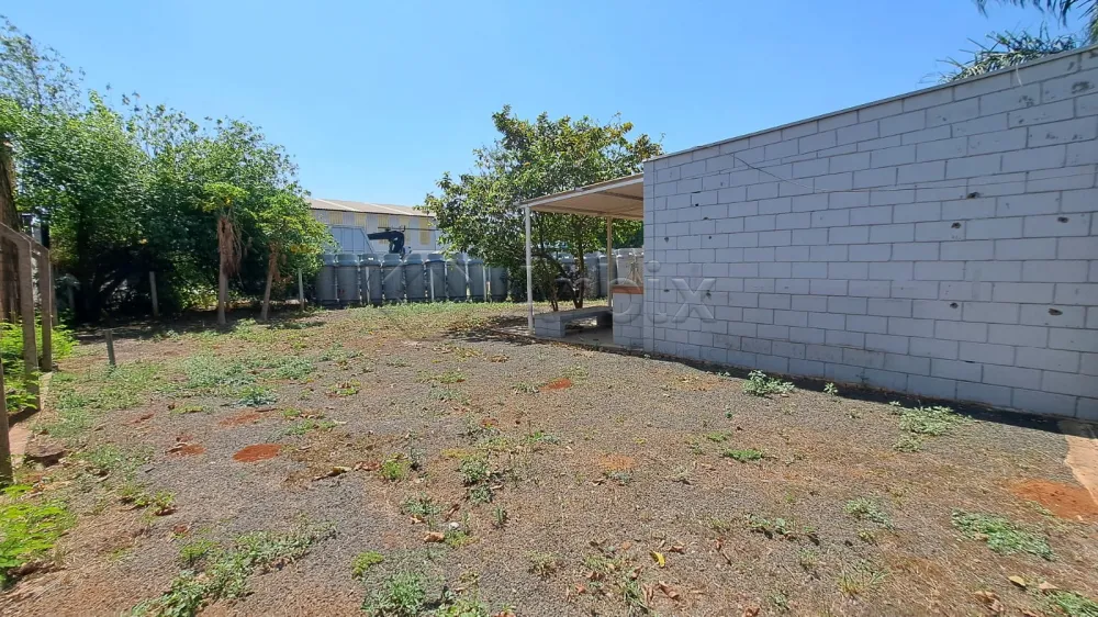 Alugar Comercial / Sala Comercial em Americana R$ 3.000,00 - Foto 17