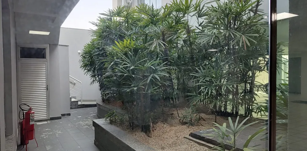 Alugar Comercial / Casa Comercial em Americana R$ 12.000,00 - Foto 4