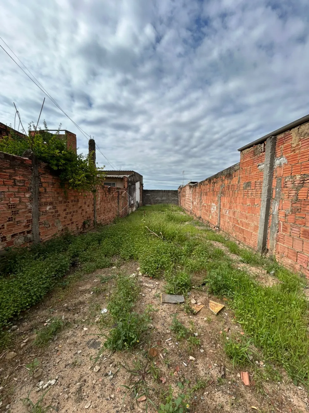 Alugar Terreno / Residencial em Americana R$ 1.200,00 - Foto 1