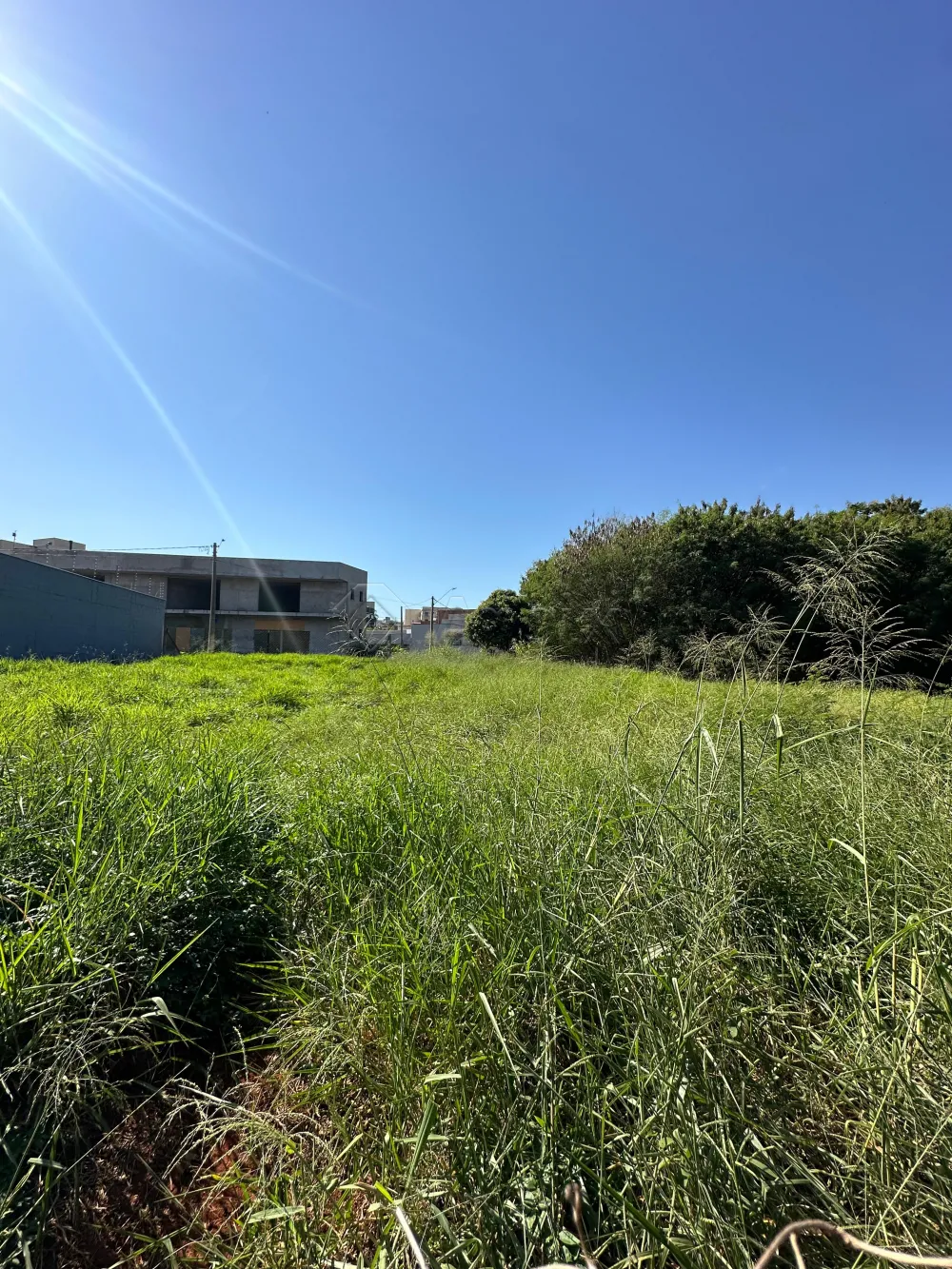 Comprar Terreno / Comercial em Americana R$ 395.000,00 - Foto 3