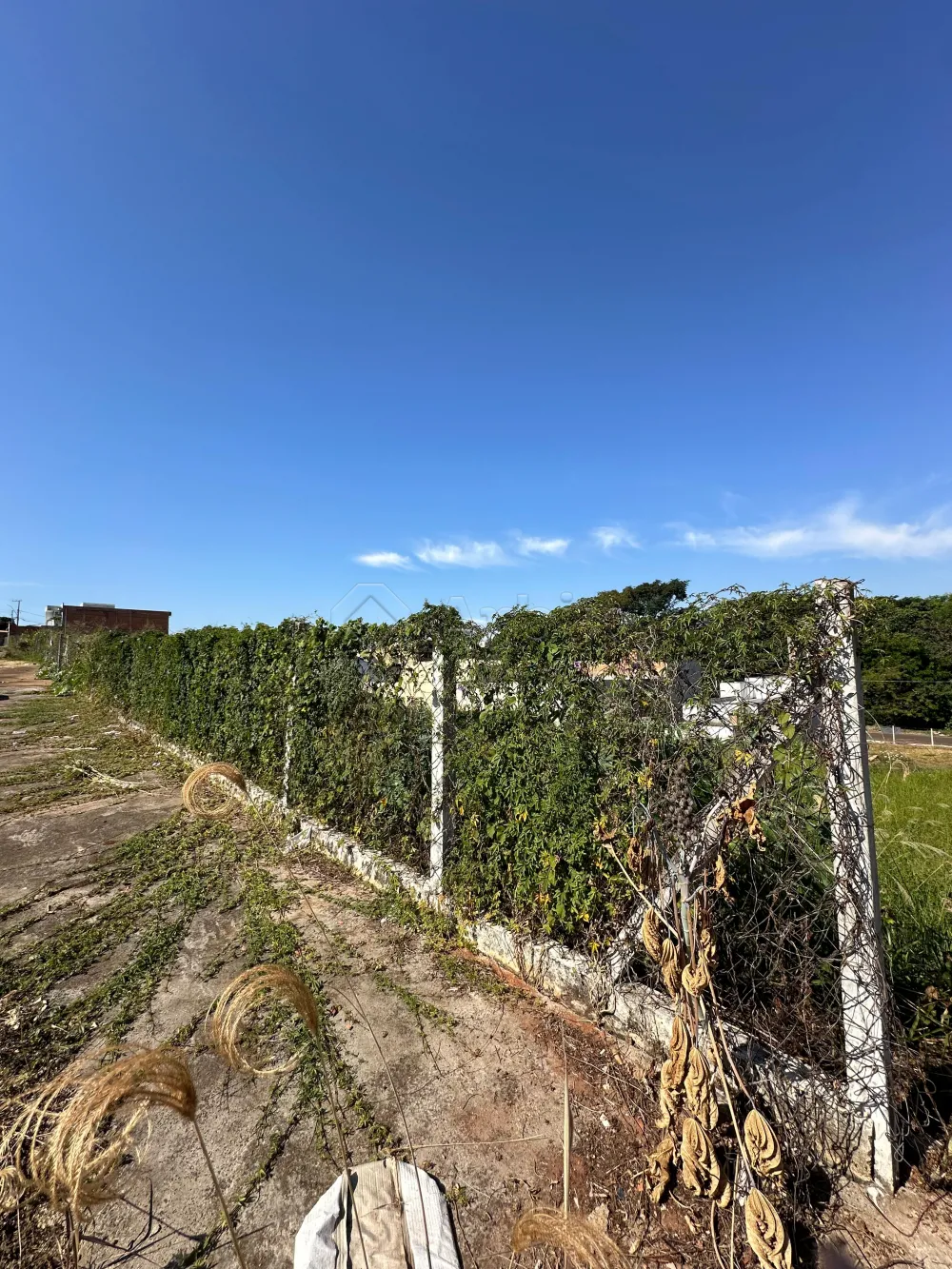 Comprar Terreno / Residencial em Americana R$ 320.000,00 - Foto 1