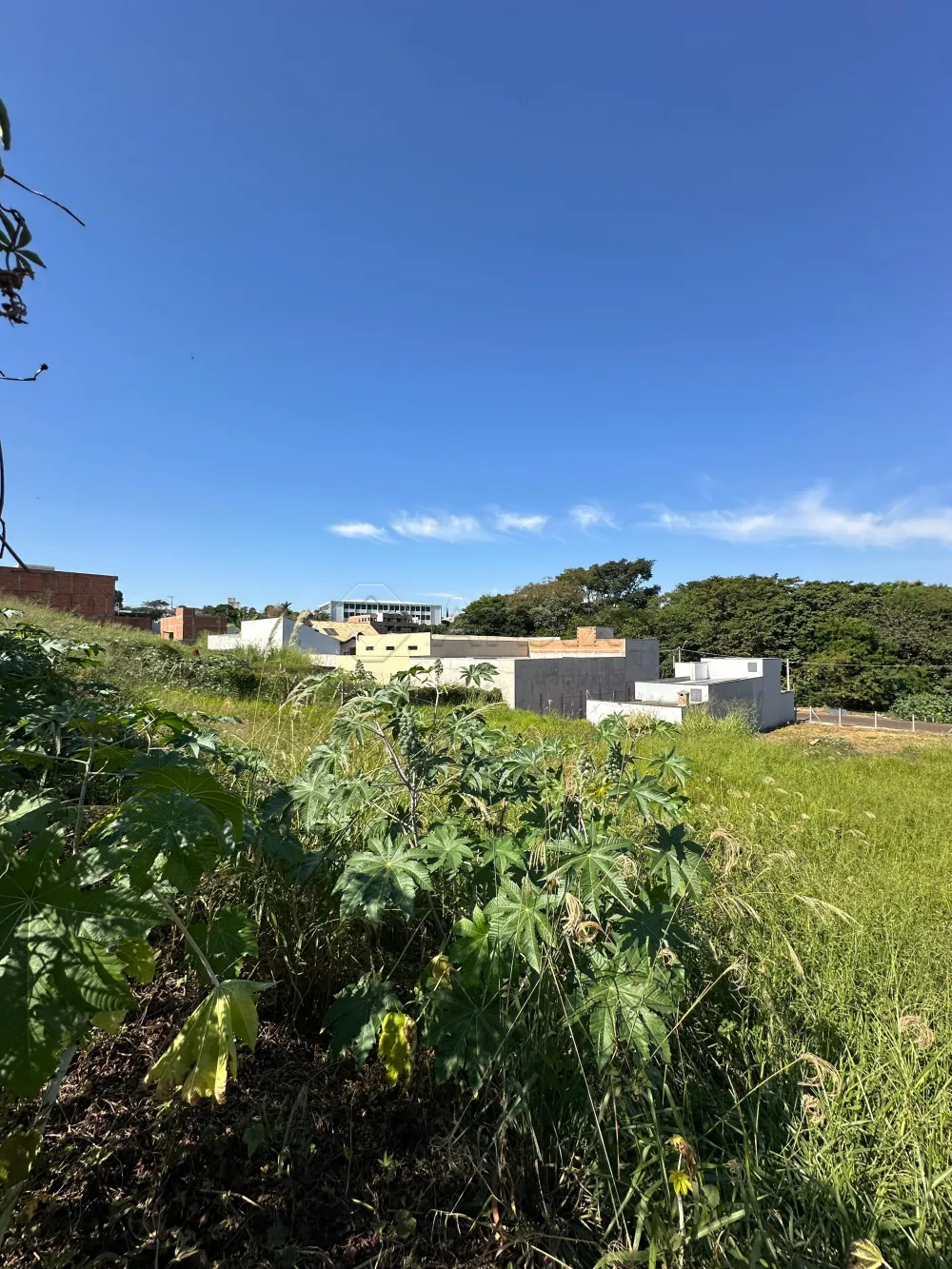 Comprar Terreno / Residencial em Americana R$ 320.000,00 - Foto 3