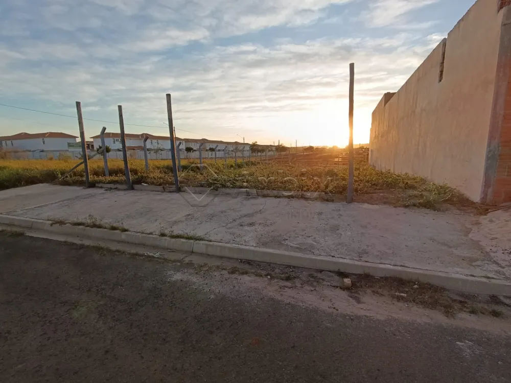 Comprar Terreno / Residencial em Americana R$ 230.000,00 - Foto 4