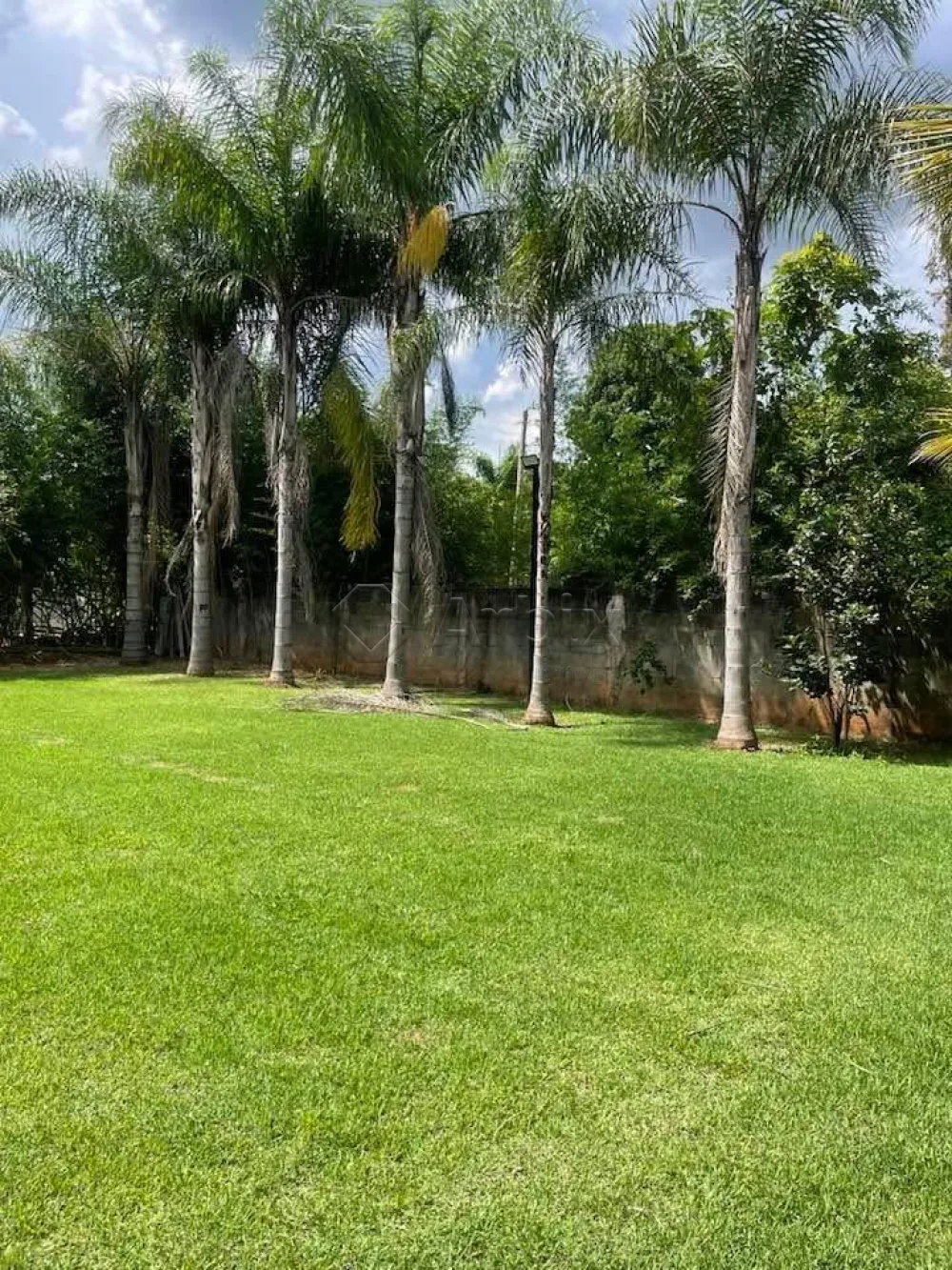 Comprar Rural / Ch&aacute;cara em Americana R$ 600.000,00 - Foto 6