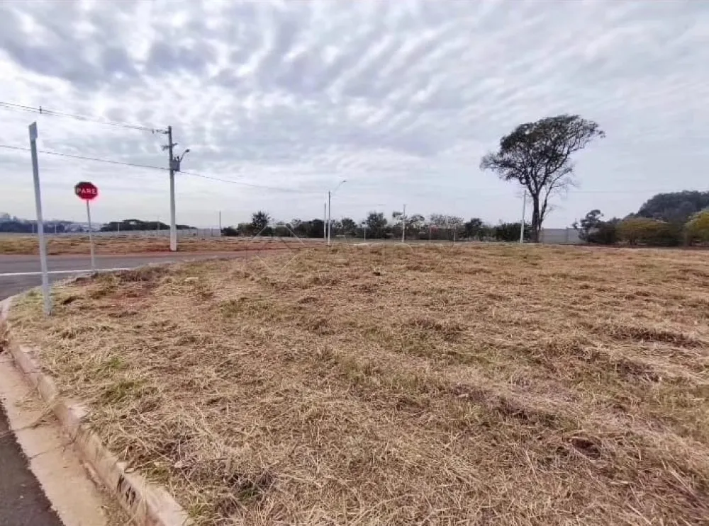 Comprar Terreno / Condom&iacute;nio em Santa B&aacute;rbara D`Oeste R$ 265.000,00 - Foto 2