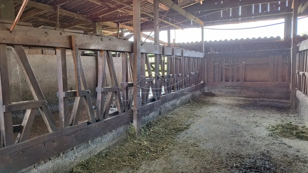 Comprar Rural / S&iacute;tio em Toledo - Foto 14