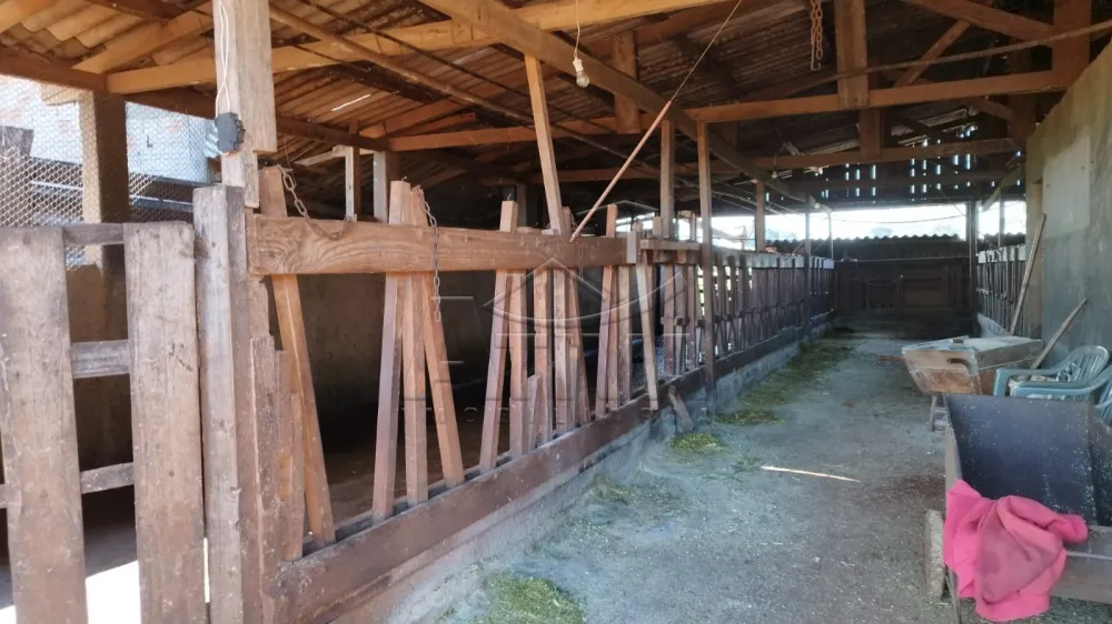 Comprar Rural / S&iacute;tio em Toledo - Foto 13