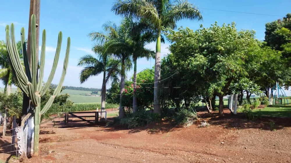 Comprar Rural / S&iacute;tio em Toledo - Foto 4