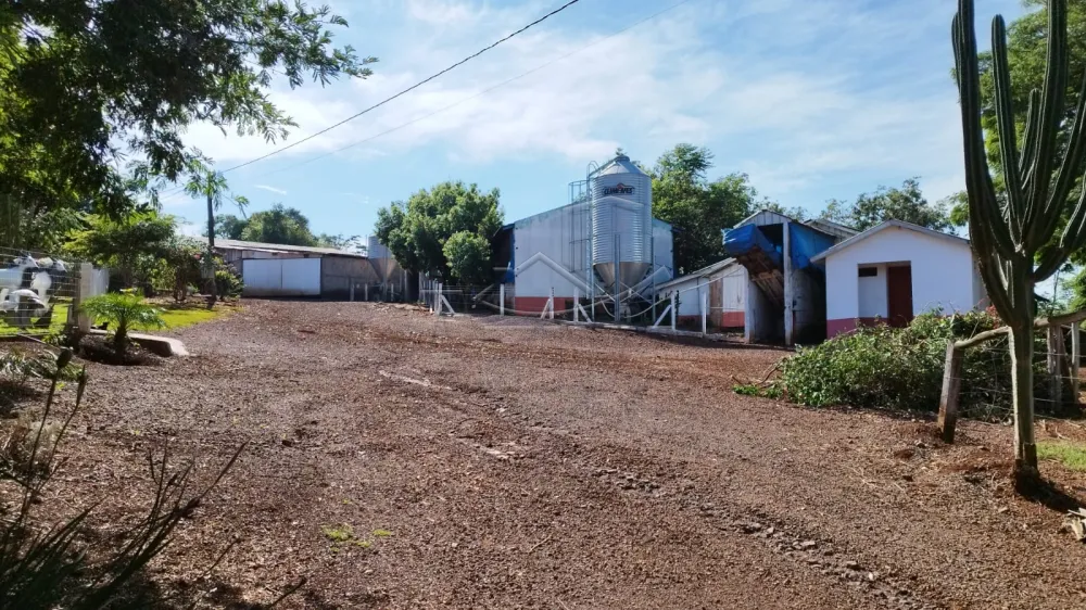 Comprar Rural / S&iacute;tio em Toledo - Foto 10