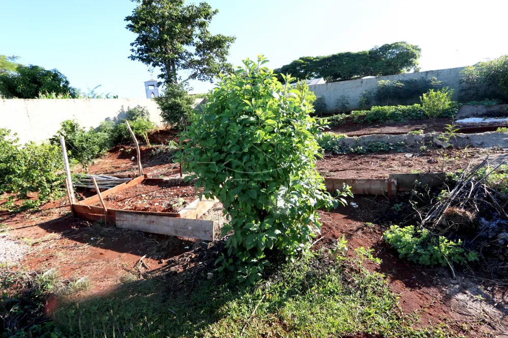 Comprar Casa / Padr&atilde;o em Toledo R$ 790.000,00 - Foto 11