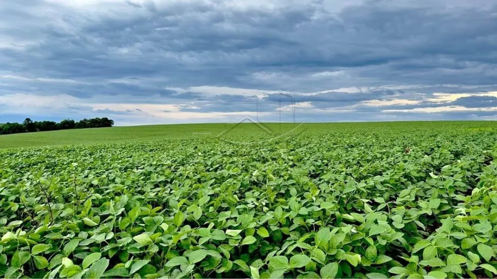 Comprar Rural / S&iacute;tio em Toledo - Foto 1