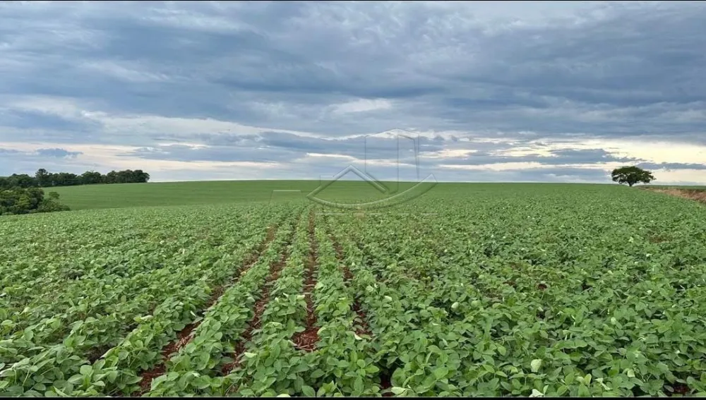 Comprar Rural / S&iacute;tio em Toledo - Foto 3