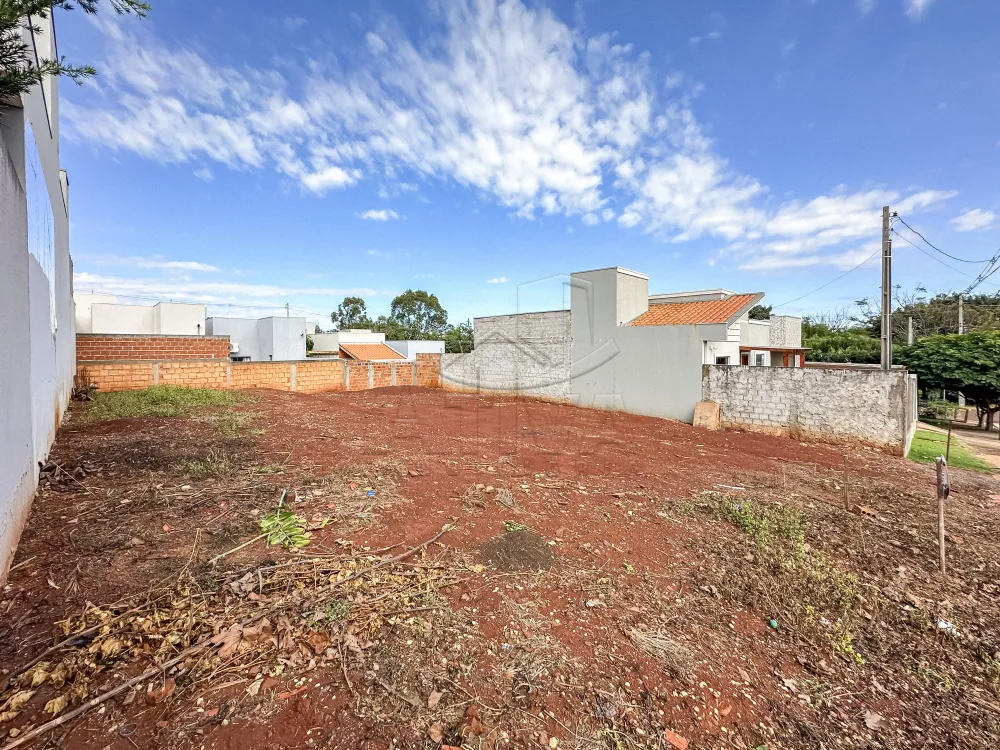 Comprar Terreno / Lote Urbano em Toledo R$ 199.000,00 - Foto 2