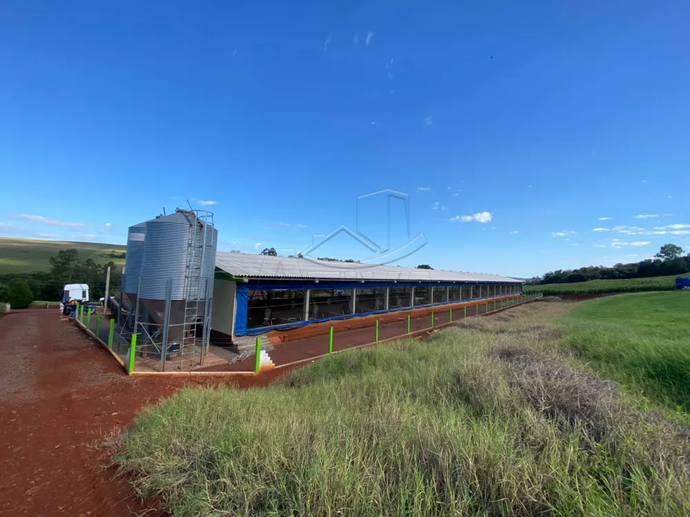 Comprar Rural / Ch&aacute;cara com Casa em Toledo R$ 2.300.000,00 - Foto 3