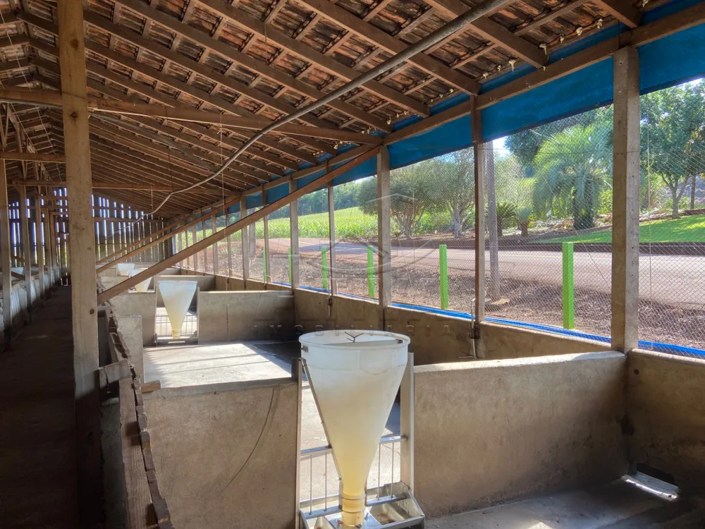 Comprar Rural / Ch&aacute;cara com Casa em Toledo R$ 2.300.000,00 - Foto 11