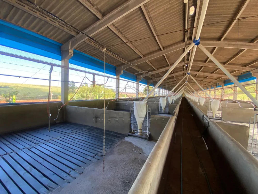 Comprar Rural / Ch&aacute;cara com Casa em Toledo R$ 2.300.000,00 - Foto 5