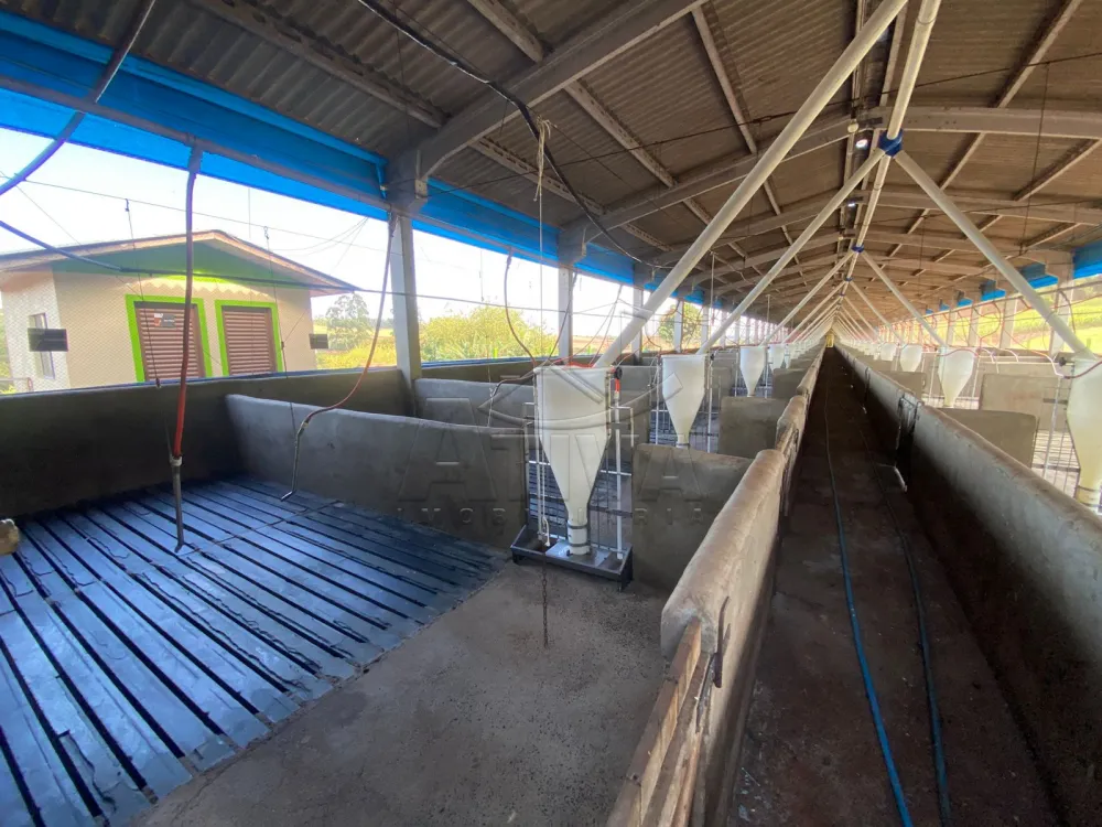 Comprar Rural / Ch&aacute;cara com Casa em Toledo R$ 2.300.000,00 - Foto 6