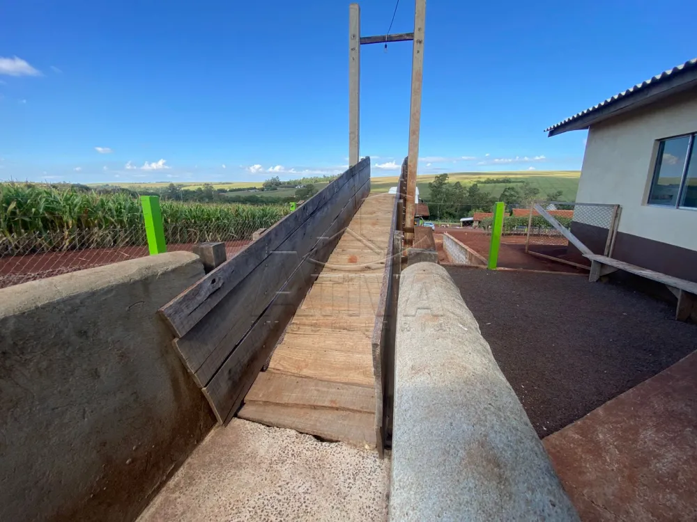 Comprar Rural / Ch&aacute;cara com Casa em Toledo R$ 2.300.000,00 - Foto 4